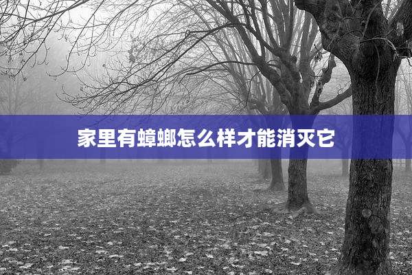 家里有蟑螂怎么样才能消灭它