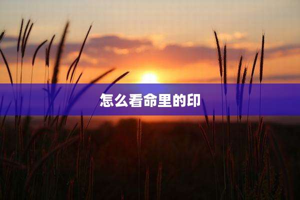 怎么看命里的印
