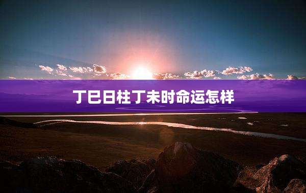 丁巳日柱丁未时命运怎样