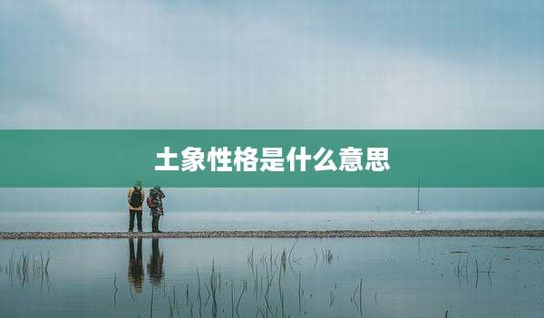 土象性格是什么意思