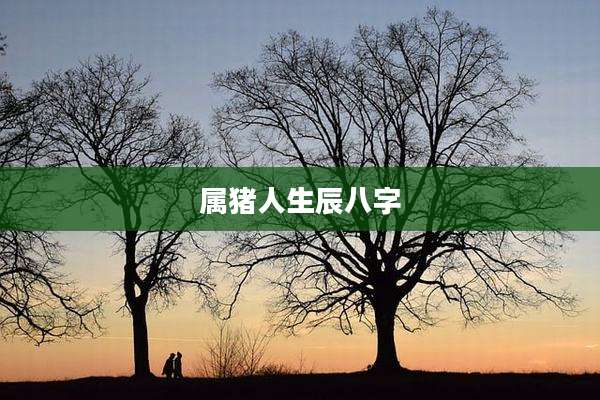 属猪人生辰八字