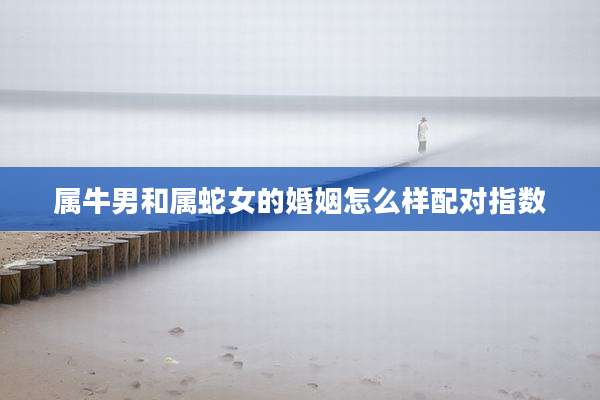 属牛男和属蛇女的婚姻怎么样配对指数