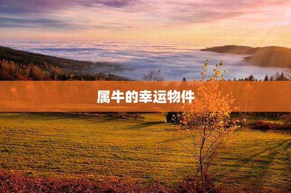 属牛的幸运物件