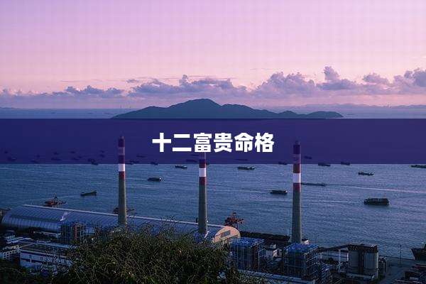 十二富贵命格
