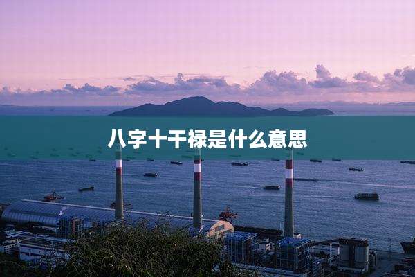 八字十干禄是什么意思
