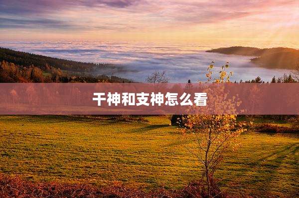 干神和支神怎么看