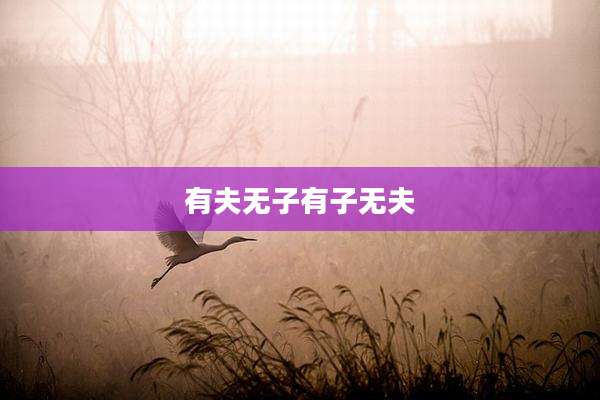 有夫无子有子无夫