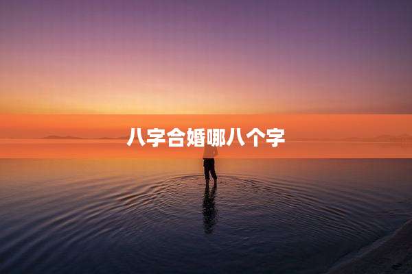 八字合婚哪八个字