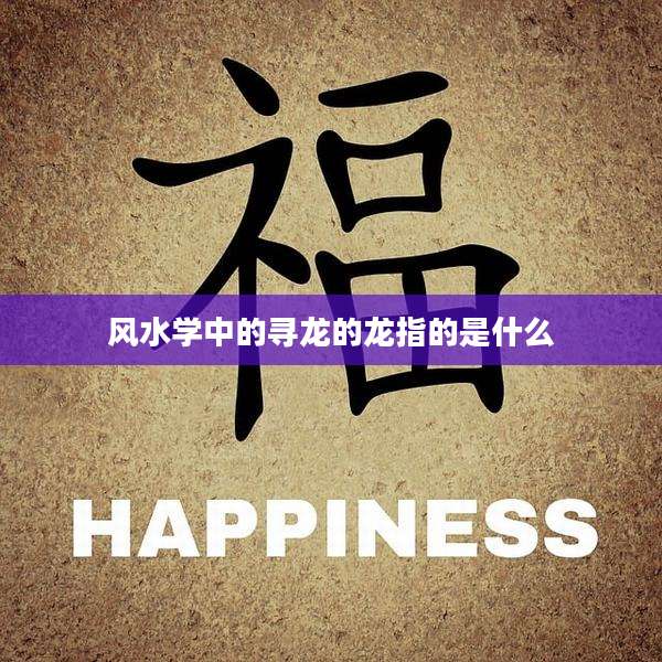 风水学中的寻龙的龙指的是什么