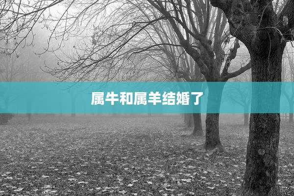 属牛和属羊结婚了