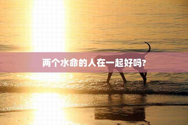两个水命的人在一起好吗?