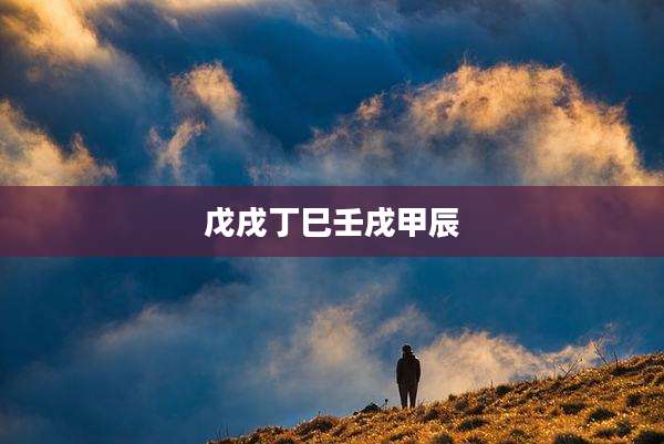 戊戌丁巳壬戌甲辰