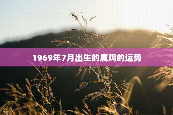 1969年7月出生的属鸡的运势