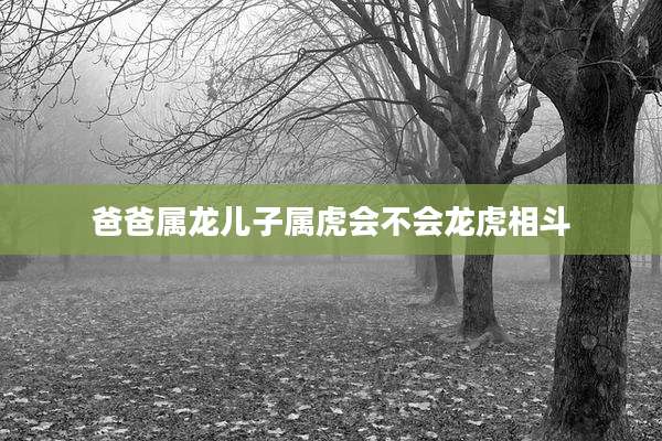 爸爸属龙儿子属虎会不会龙虎相斗