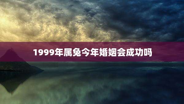 1999年属兔今年婚姻会成功吗