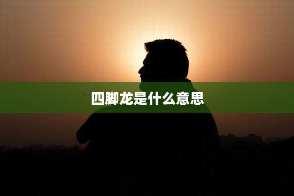 四脚龙是什么意思