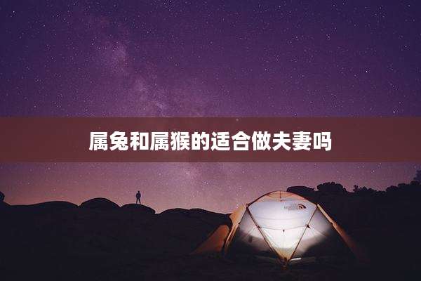 属兔和属猴的适合做夫妻吗