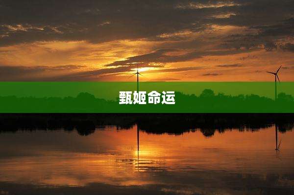 甄姬命运