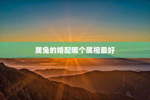 属兔的婚配哪个属相最好