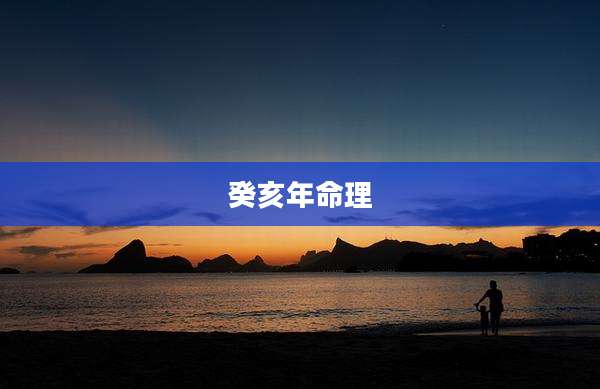 癸亥年命理