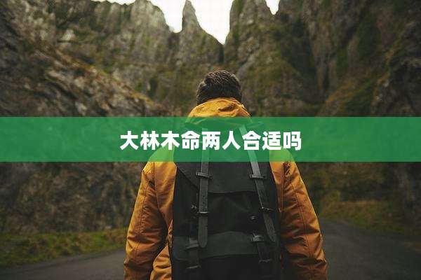 大林木命两人合适吗