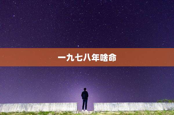一九七八年啥命