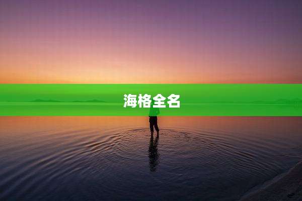 海格全名