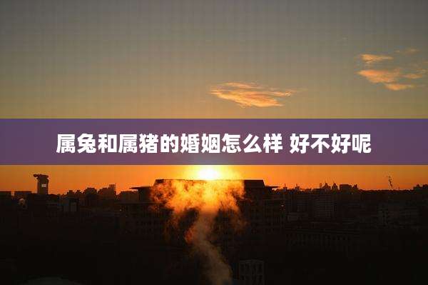 属兔和属猪的婚姻怎么样 好不好呢
