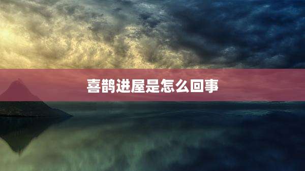 喜鹊进屋是怎么回事