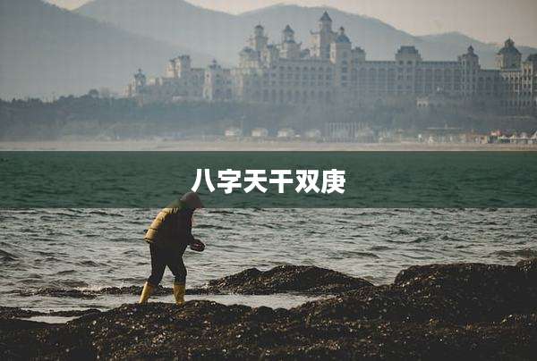 八字天干双庚