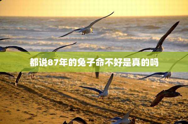 都说87年的兔子命不好是真的吗