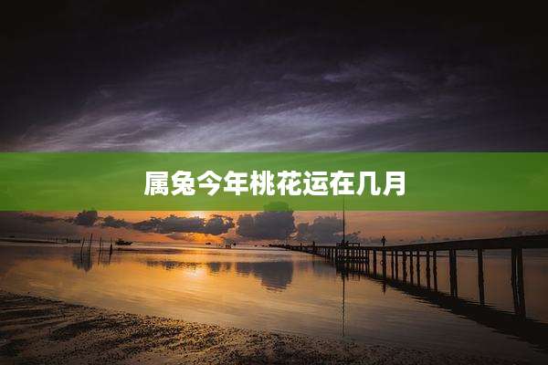 属兔今年桃花运在几月