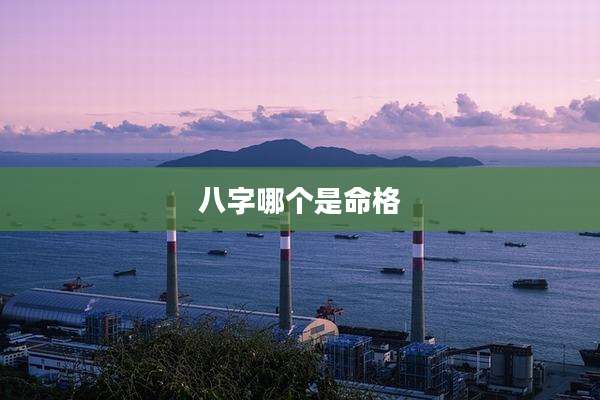八字哪个是命格