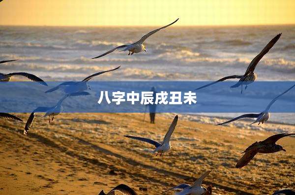 八字中辰戌丑未