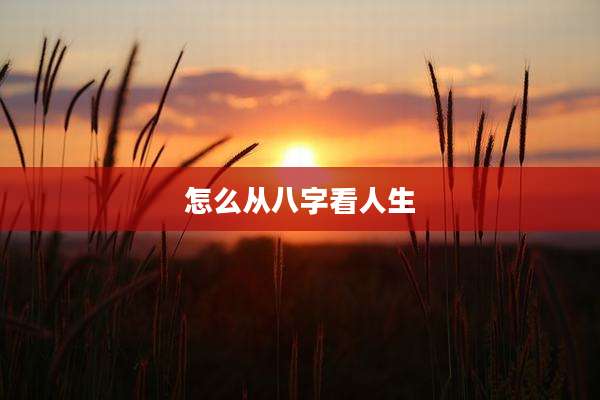 怎么从八字看人生
