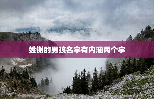 姓谢的男孩名字有内涵两个字