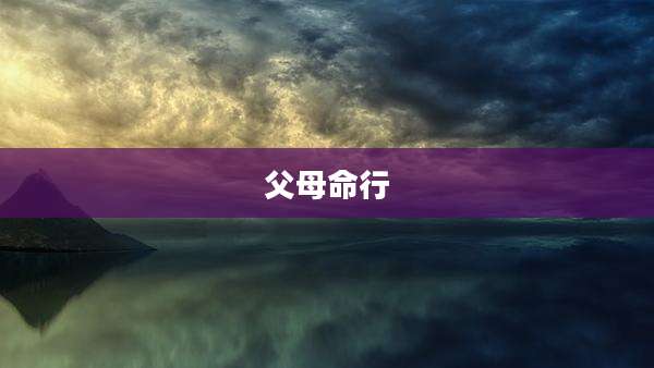 父母命行