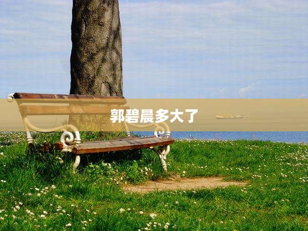 郭碧晨多大了