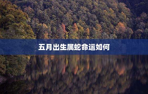 五月出生属蛇命运如何