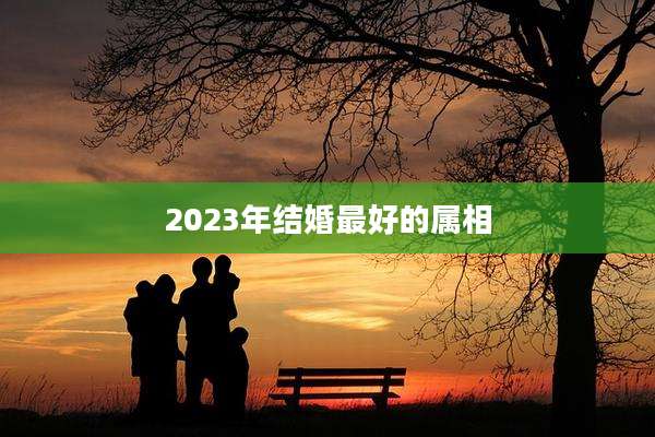 2023年结婚最好的属相