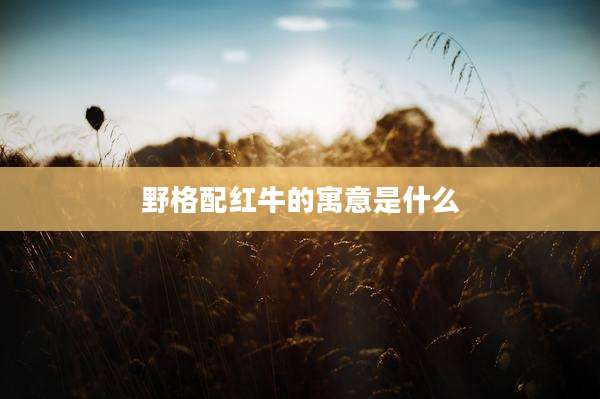 野格配红牛的寓意是什么