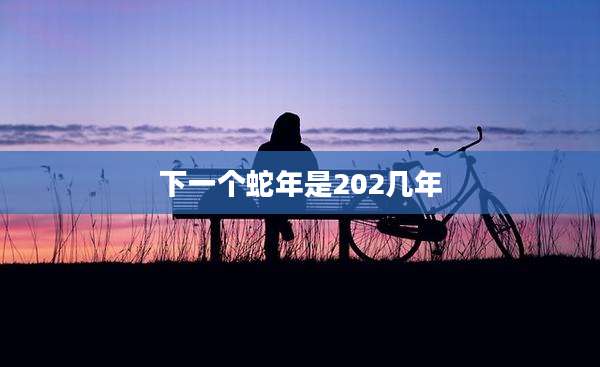 下一个蛇年是202几年