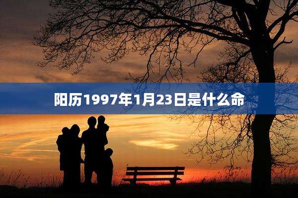 阳历1997年1月23日是什么命