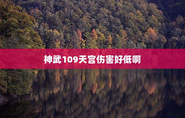 神武109天宫伤害好低啊