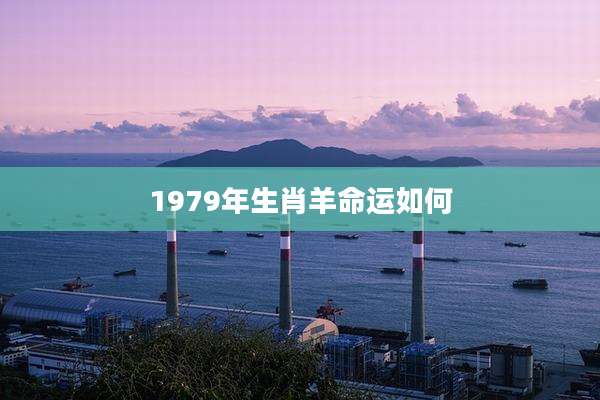 1979年生肖羊命运如何