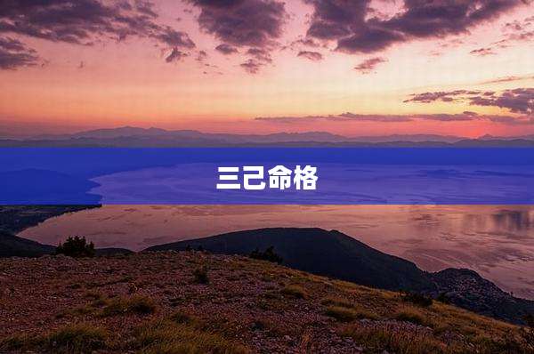 三己命格