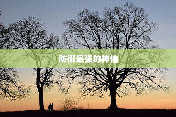 防御最强的神仙