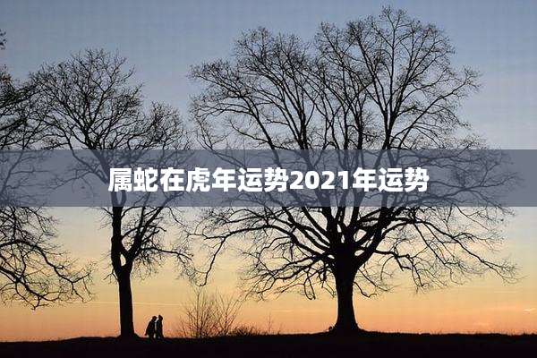 属蛇在虎年运势2021年运势