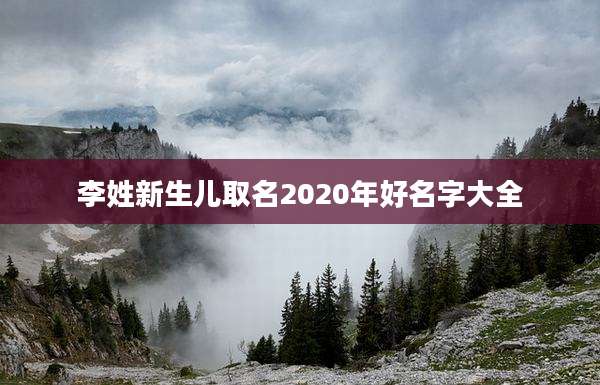 李姓新生儿取名2020年好名字大全
