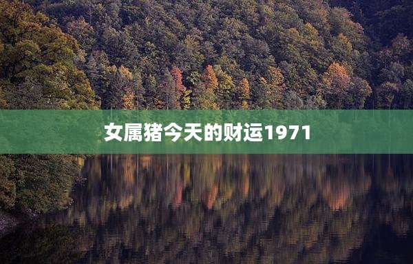 女属猪今天的财运1971
